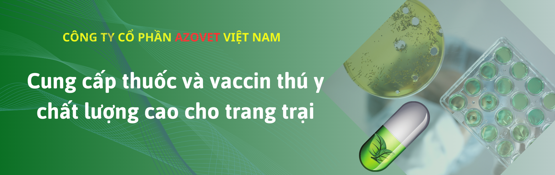 Công ty cổ phần AZOVET Việt Nam