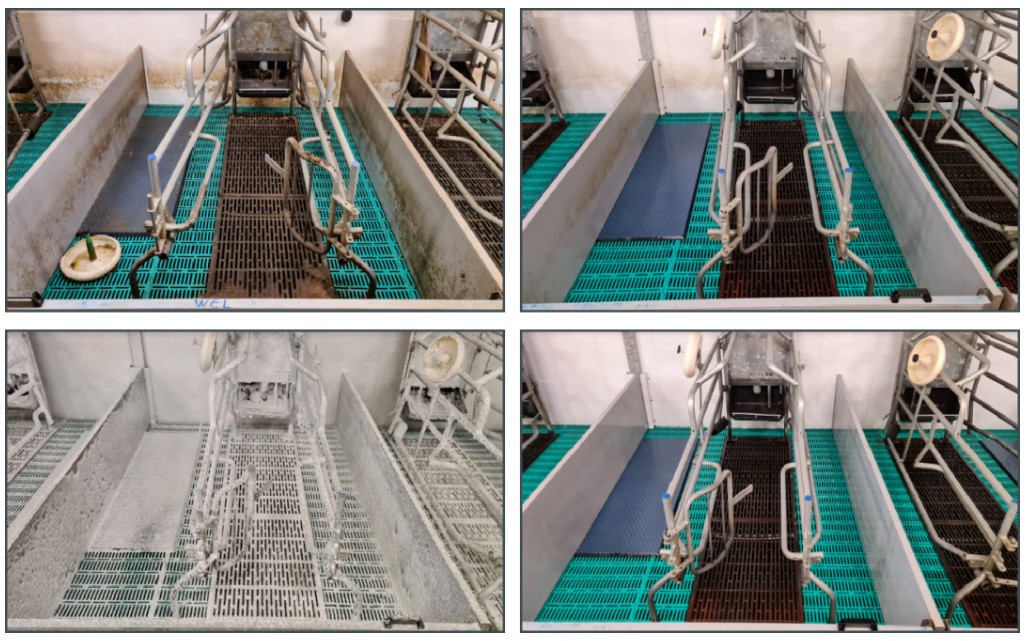 Hiệu quả làm sạch của MS Topfoam Power